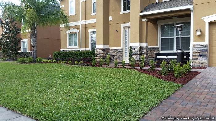 Landscape Service in Winter Park