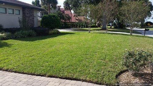 sod installation in orlando