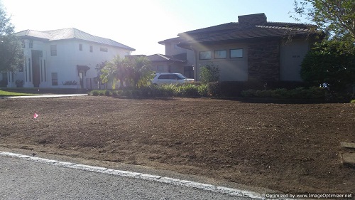sod removal in orlando