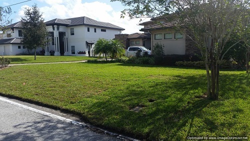 sod service in orlando